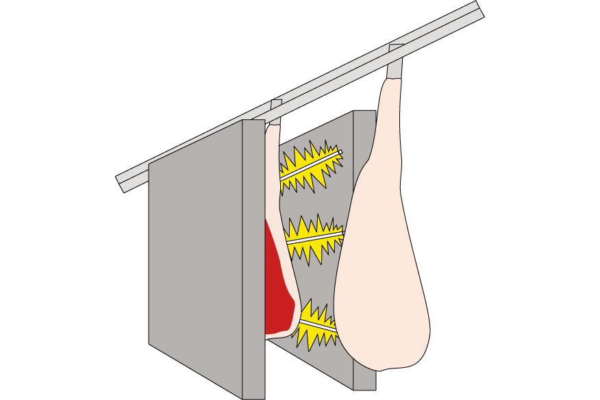 食肉殺菌システム